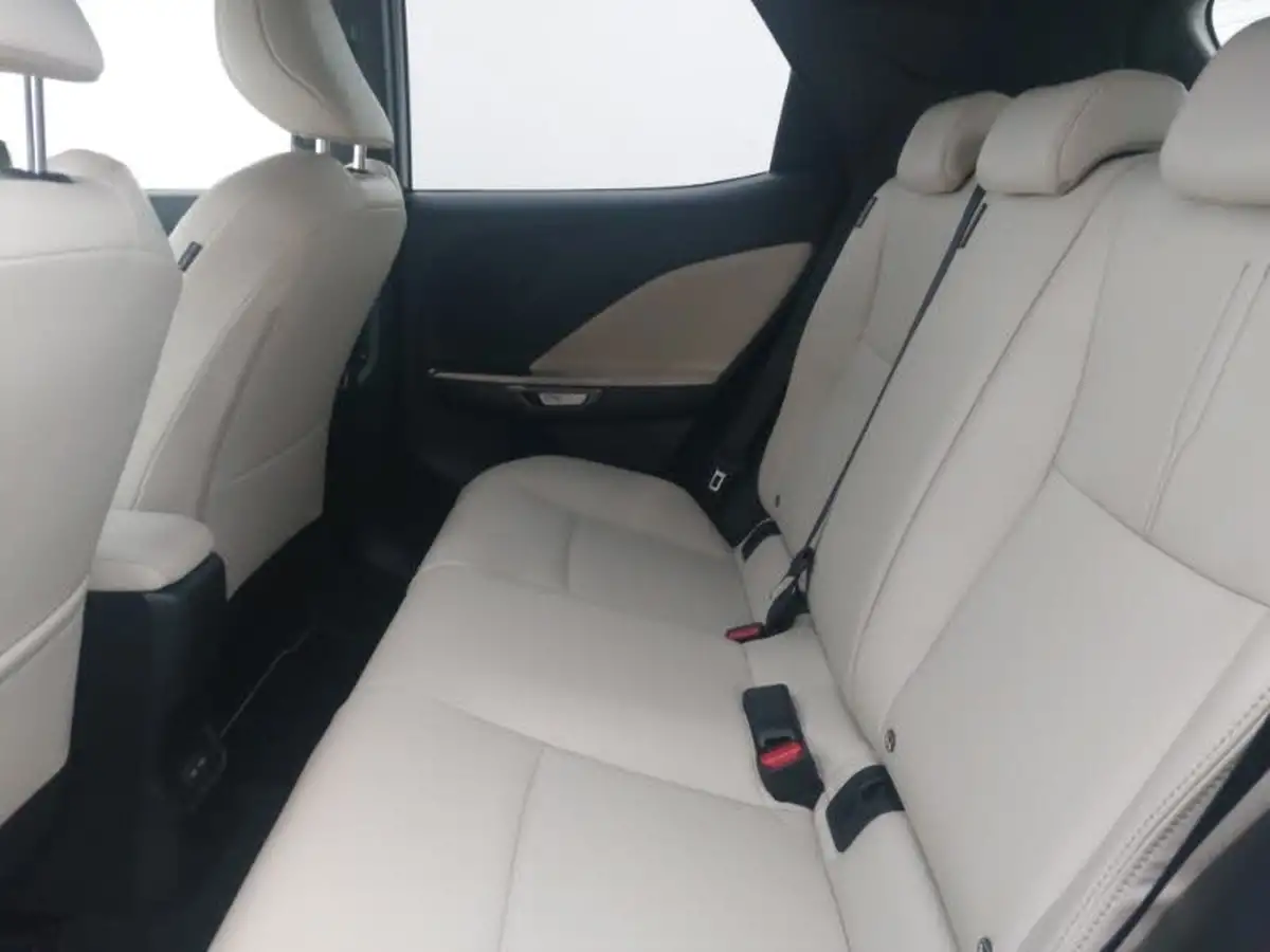2024-lexus-lbx-15-premium-plus-big-5