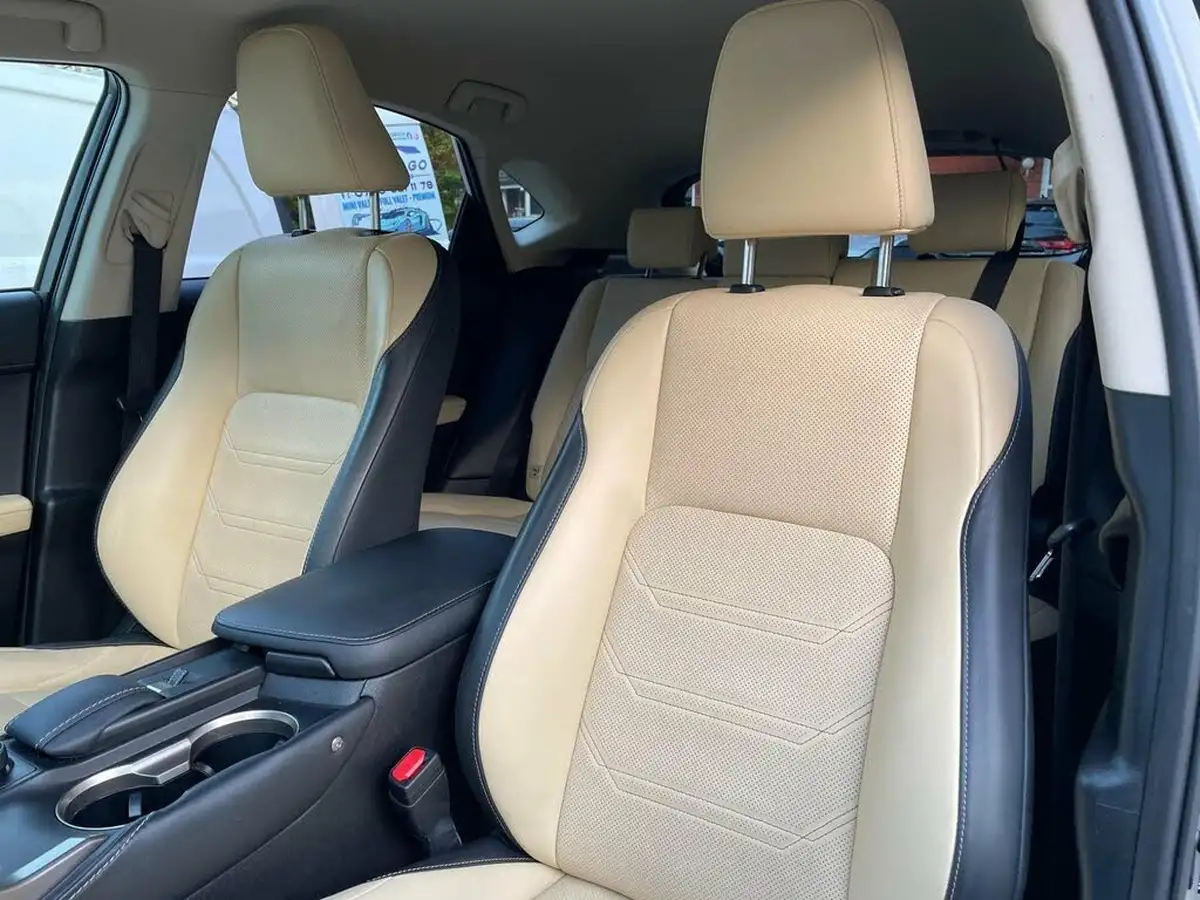 2017-lexus-nx-300h-25-luxury-big-25