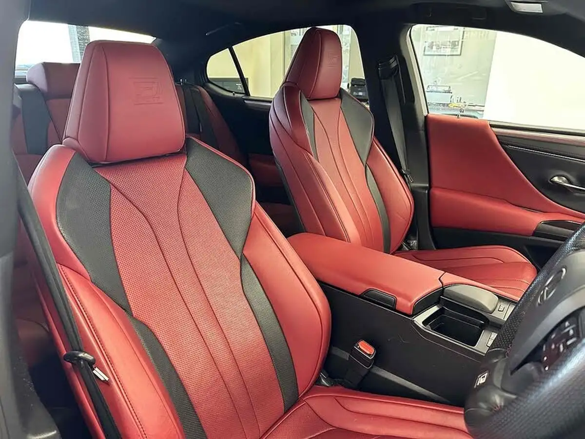 2019-lexus-es-300h-25-f-sport-takumi-pack-big-11