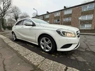 2014-mercedes-benz-a-class-small-54