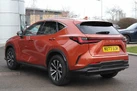 2023-lexus-nx-350h-25-nx-244ps-small-6