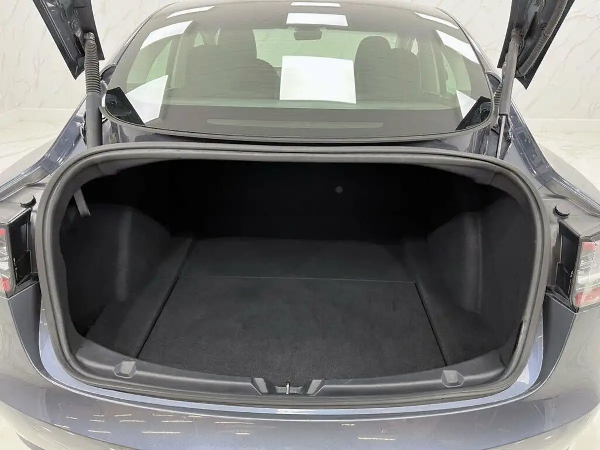 2021-tesla-model-3-e-standard-plus-big-31