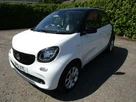 2015-smart-forfour-10-passion-ss-small-2