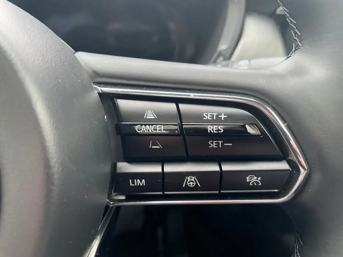 2025-mazda-cx-60-25-e-skyactiv-homura-plus-big-16