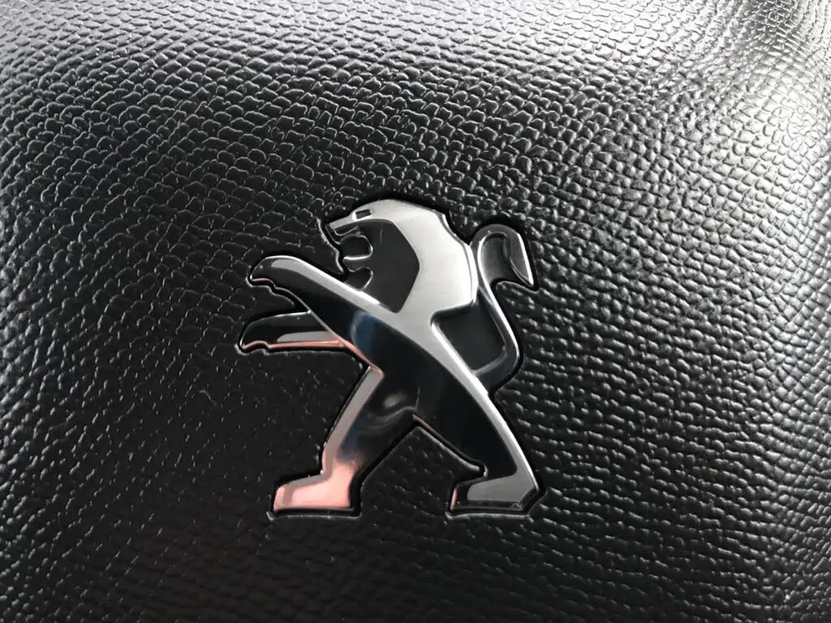 2023-peugeot-partner-15-bluehdi-1000-professional-premium-100pseu6d-big-22