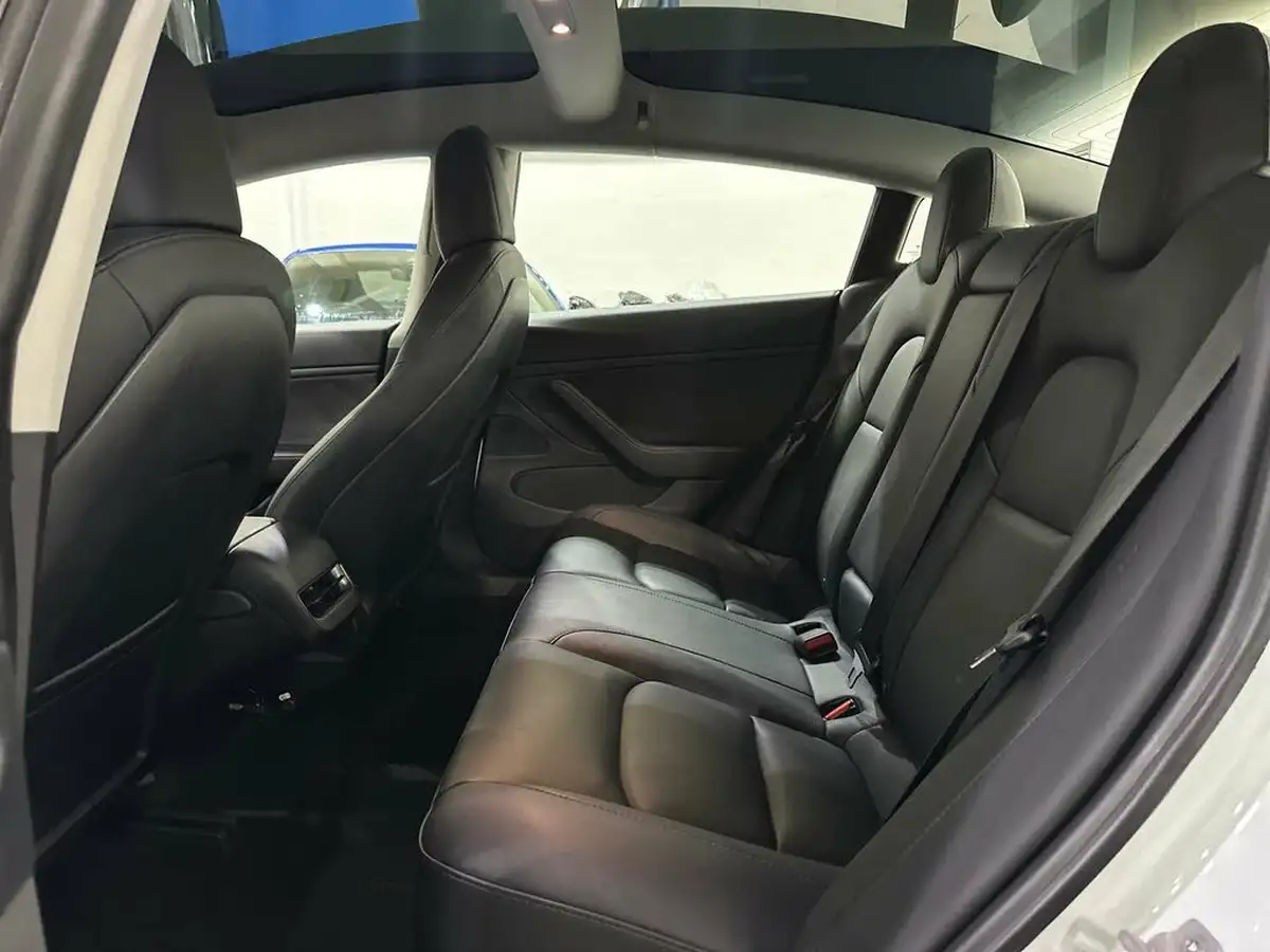 2020-tesla-model-3-e-standard-plus-big-33
