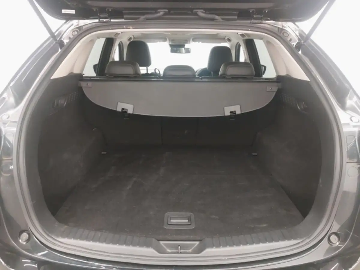 2019-lexus-rx-450h-35-f-sport-big-7