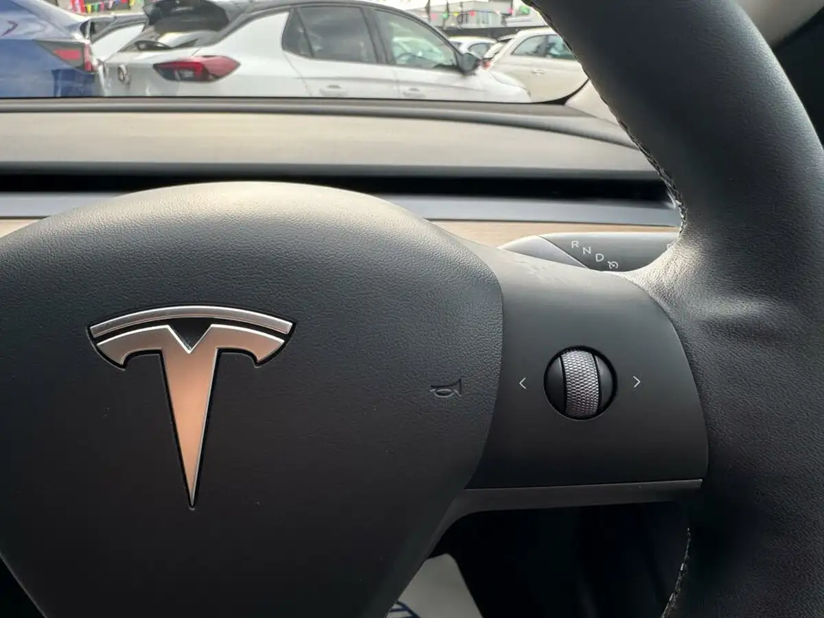 2021-tesla-model-3-e-long-range-awd-big-28