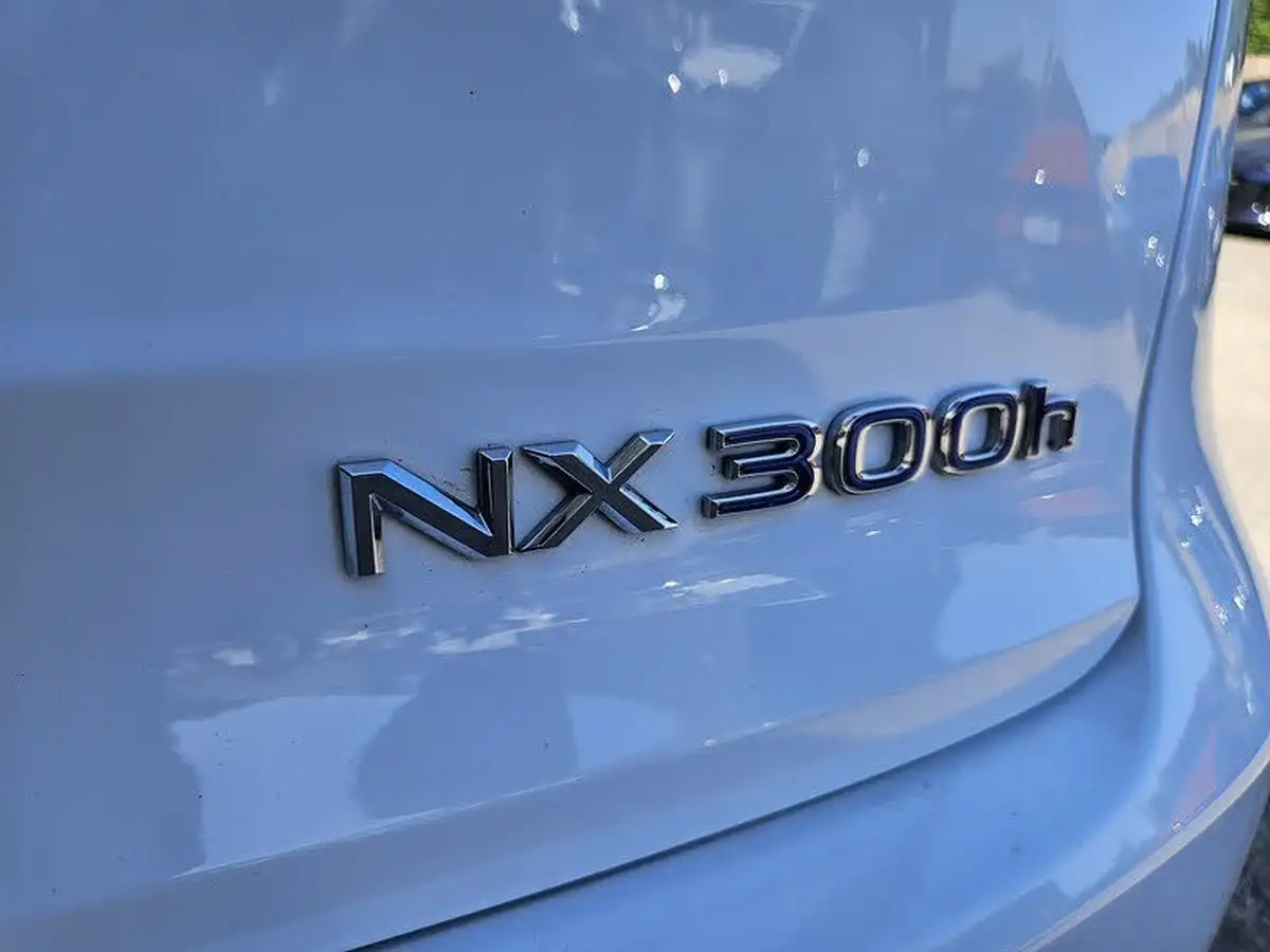 2018-lexus-nx-300h-25-f-sport-big-27