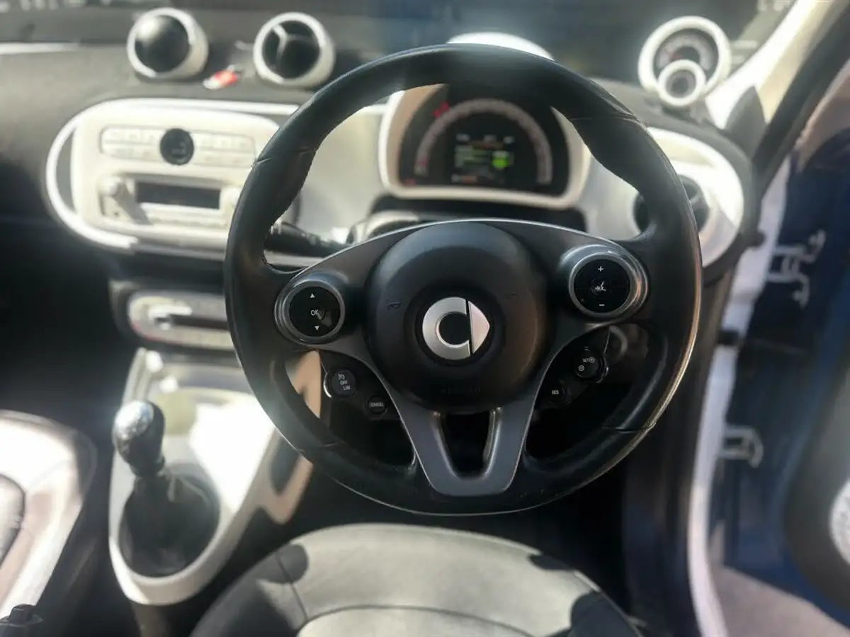 2015-smart-forfour-09-prime-ss-big-11