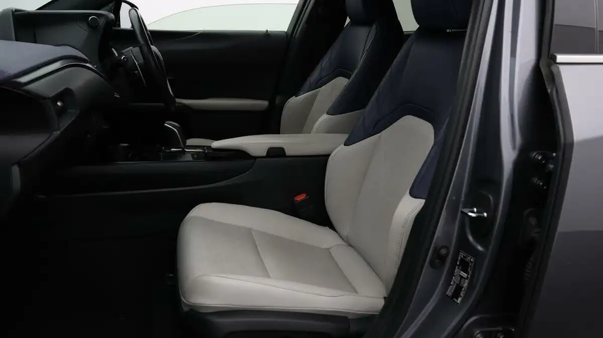 2021-lexus-ux-300e-e-ux-big-13