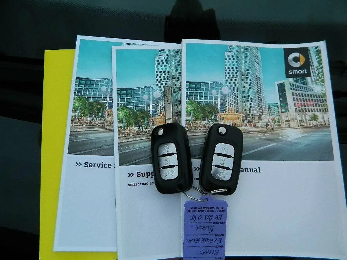 2020-smart-forfour-eq-prime-exclusive-big-17