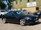 2014-mercedes-benz-slk-21td-slk250-amg-sport-small-14