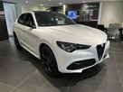 2025-alfa-romeo-stelvio-20-tributo-italiano-small-0