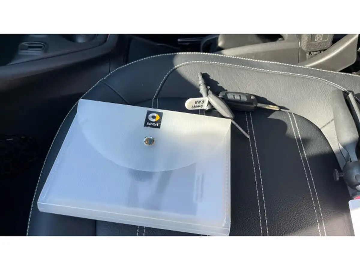 2021-smart-forfour-eq-exclusive-big-18