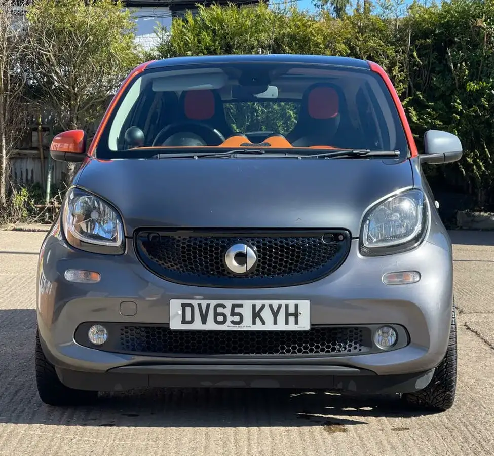 2015-smart-forfour-10-edition-1-big-1