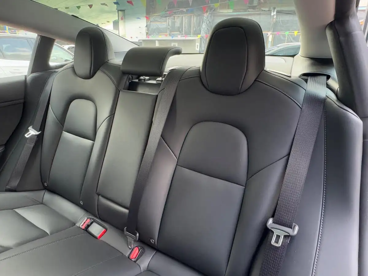 2021-tesla-model-3-e-standard-plus-big-30