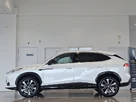 2024-mg-hs-small-3