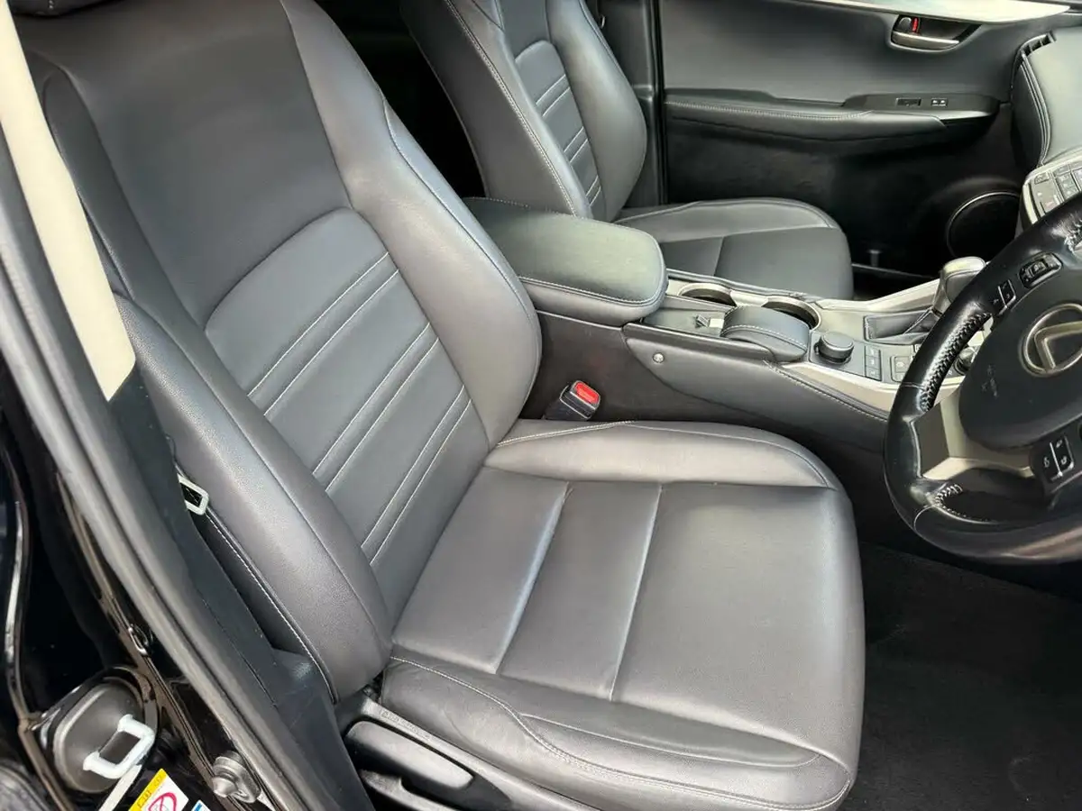 2017-lexus-nx-300h-25-sport-big-12