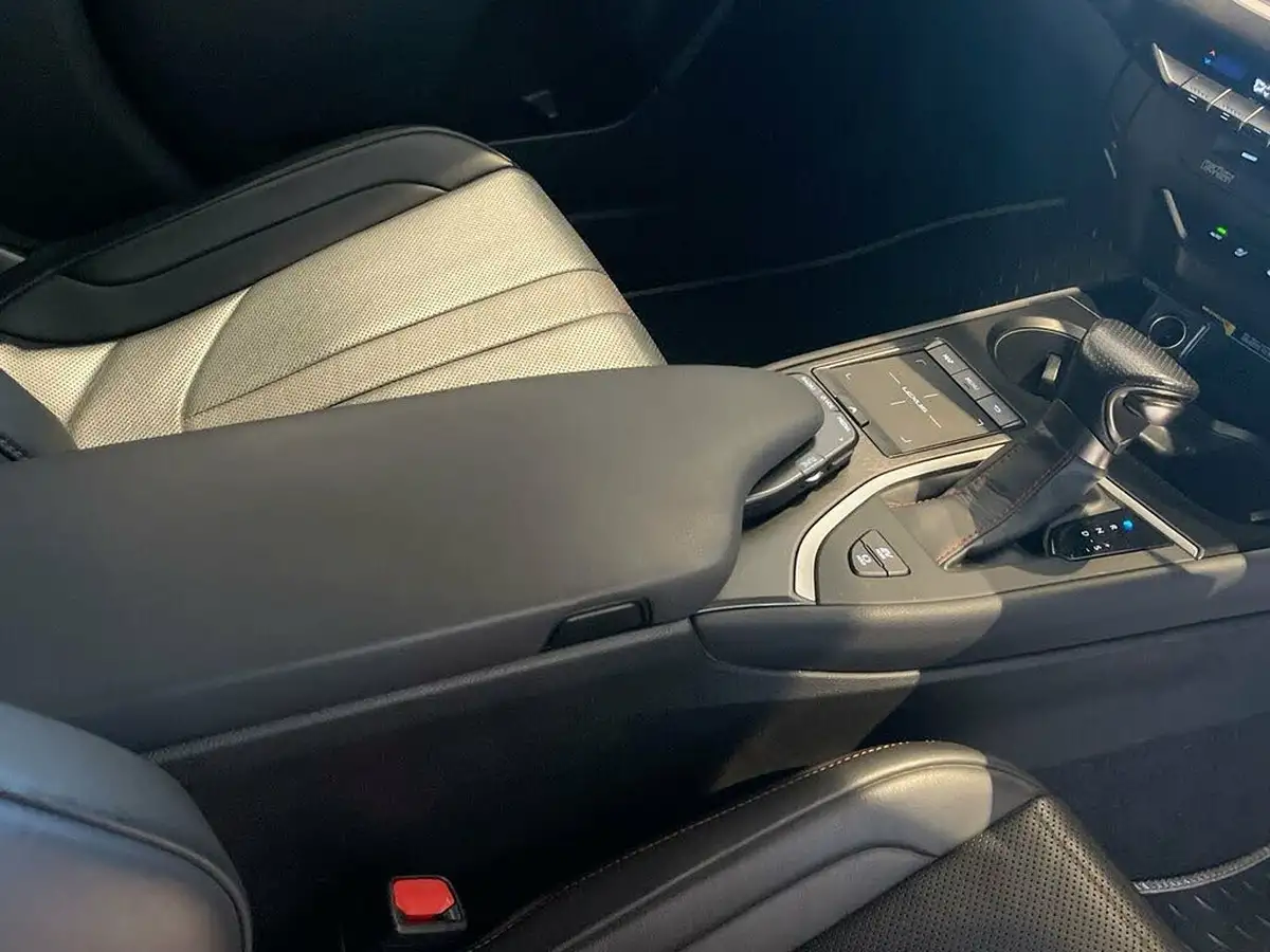 2019-lexus-ux-250h-20-f-sport-premium-plus-packsun-e-four-big-13