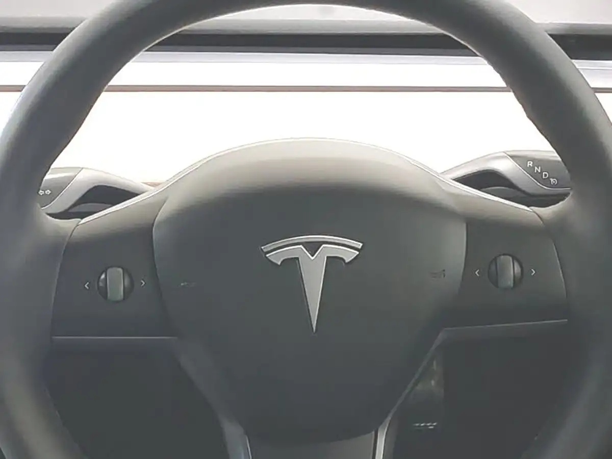 2021-tesla-model-3-e-long-range-awd-big-10