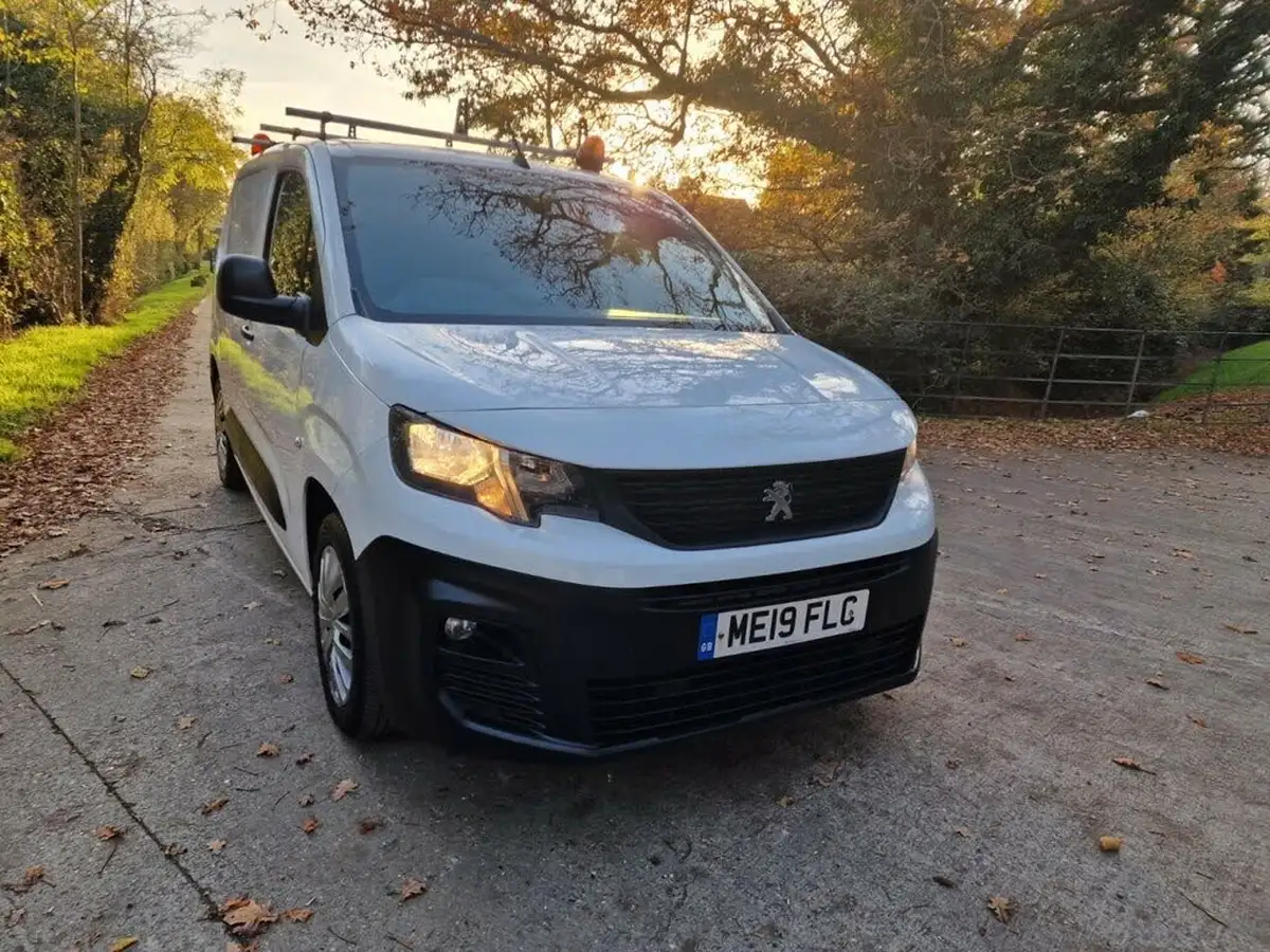2019-peugeot-partner-15-bluehdi-1000-professional-100ps-eu6dt-panel-big-2