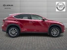 2019-lexus-nx-300h-25-luxury-small-1