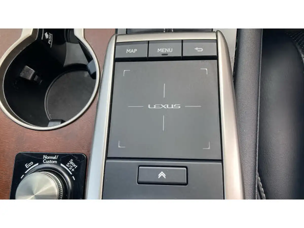 2021-lexus-rx-450h-35-takumi-4x4-sun-big-33