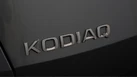 2019-skoda-kodiaq-20tdi-edition-150ps-4x4-7-seats-scr-small-20