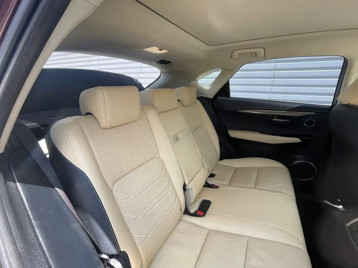 2017-lexus-nx-300h-25-luxury-big-15