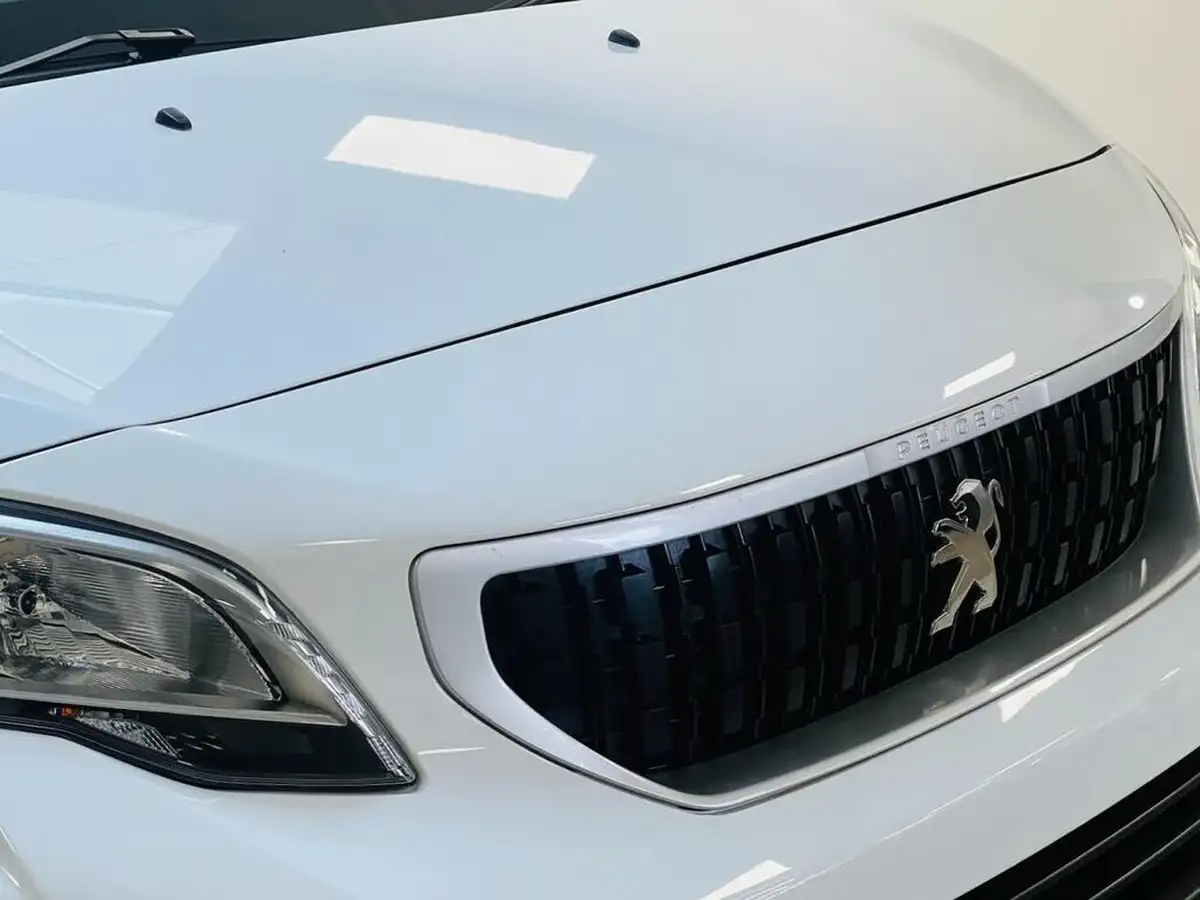2021-peugeot-expert-15-bluehdi-professional-compact-1000-eu6dt-e-big-28