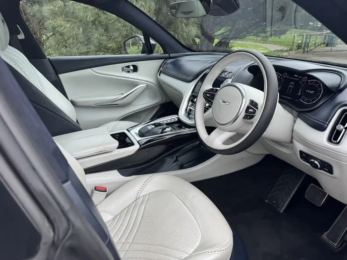 2021-aston-martin-dbx-40-v8-big-5