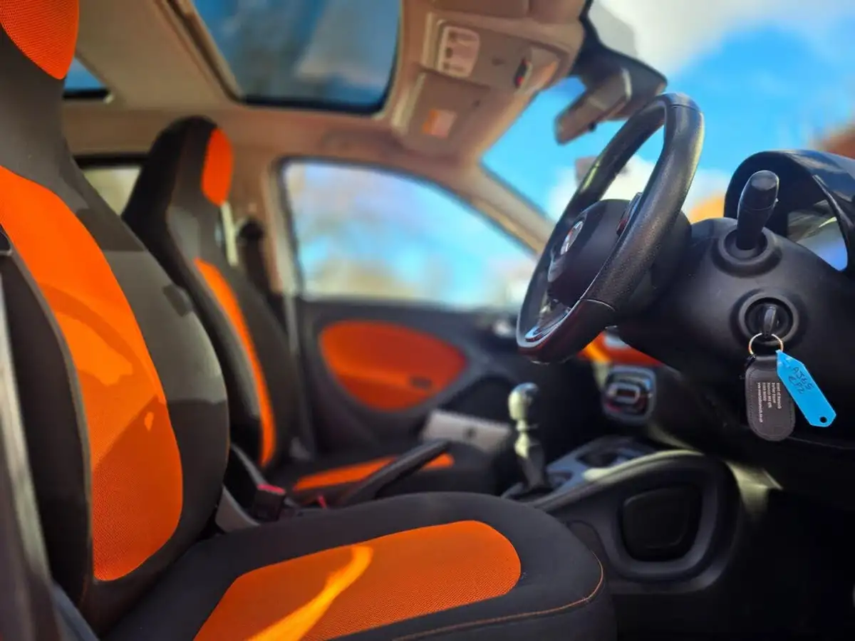 2015-smart-forfour-09-edition-1-big-6
