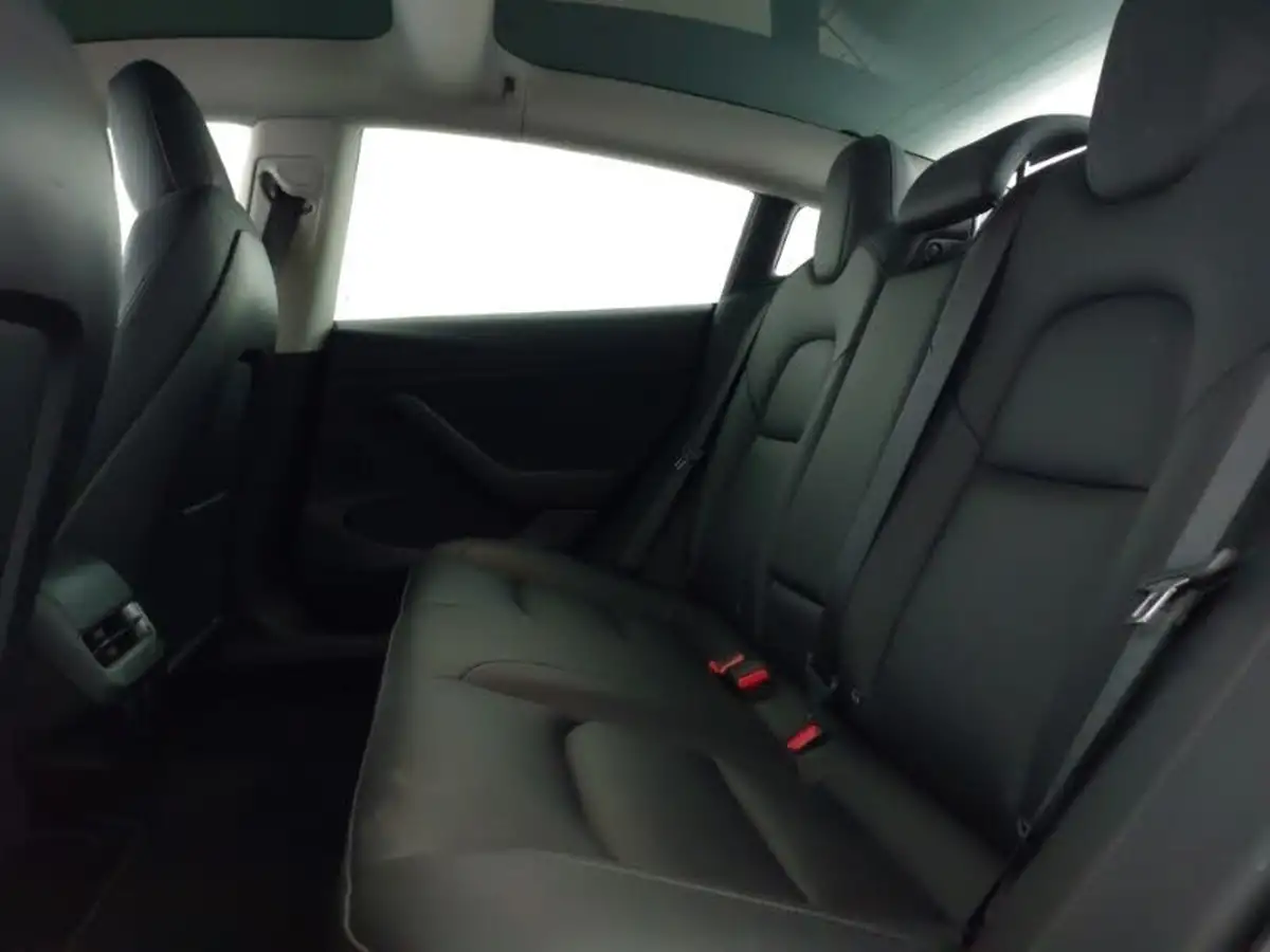 2021-tesla-model-3-e-long-range-awd-big-5
