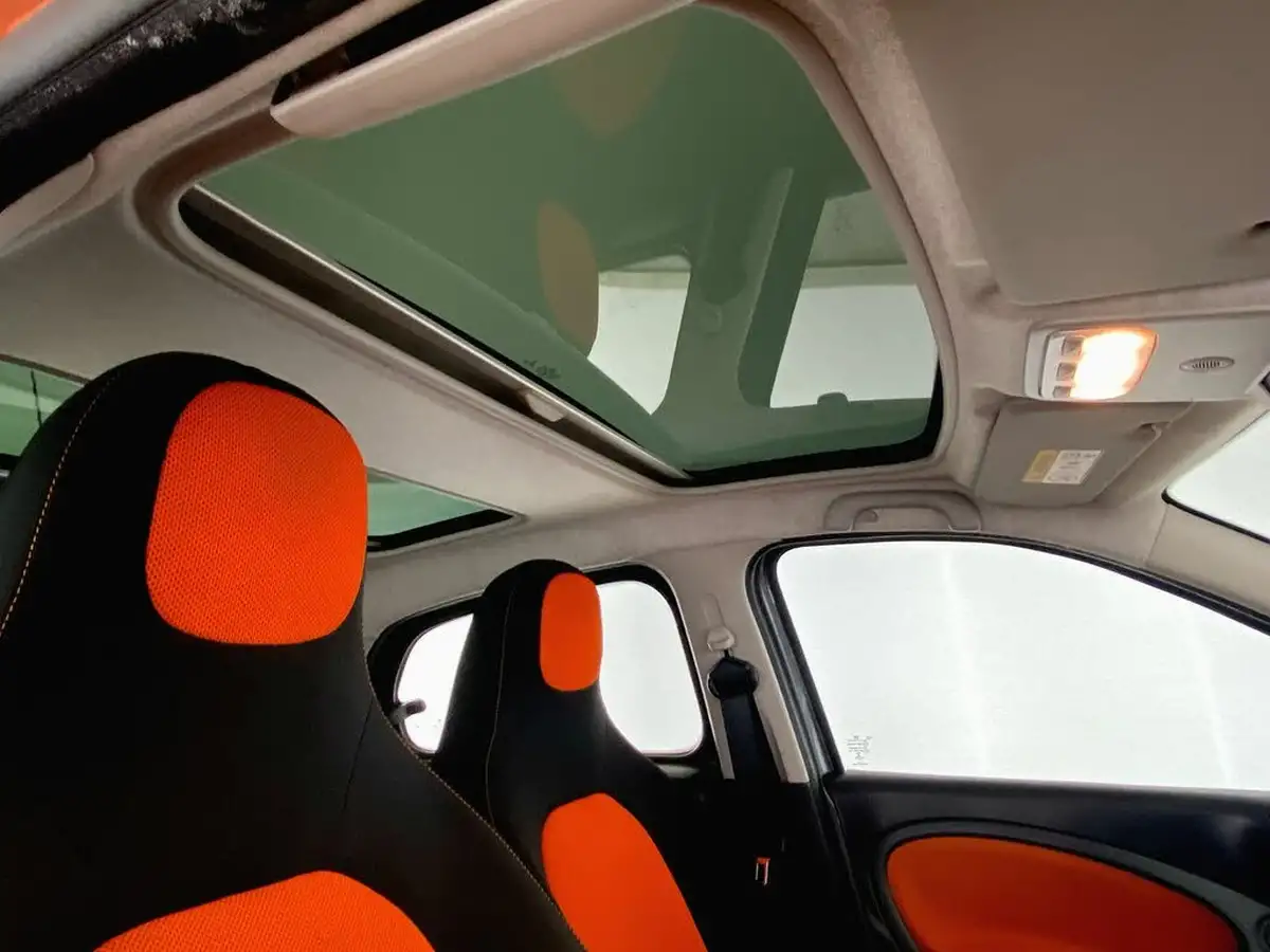 2015-smart-forfour-09-edition-1-big-23