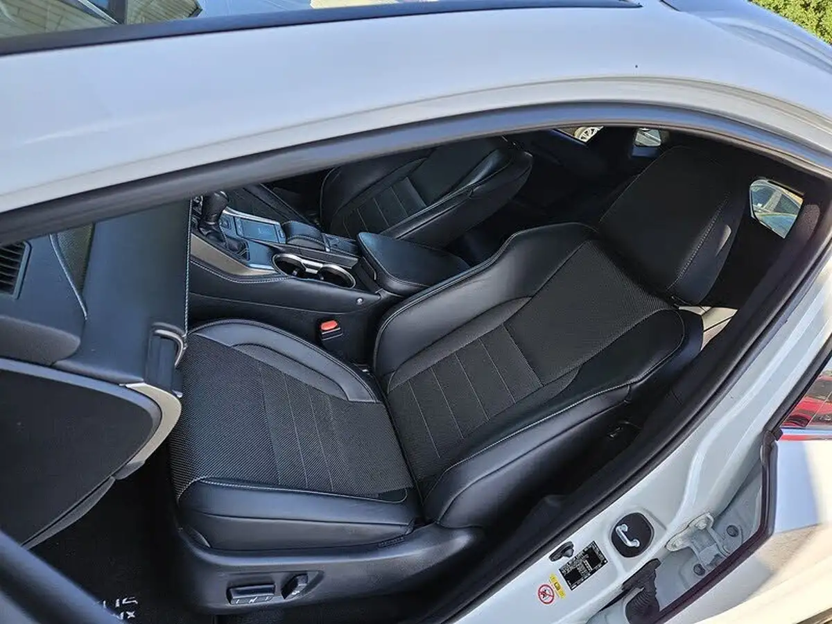 2018-lexus-nx-300h-25-f-sport-big-16