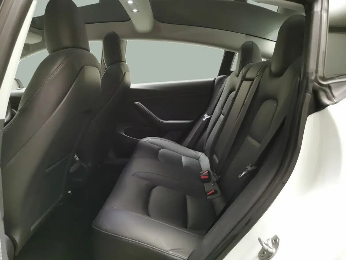 2020-tesla-model-3-e-standard-plus-big-31