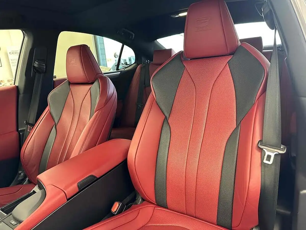 2019-lexus-es-300h-25-f-sport-takumi-pack-big-13