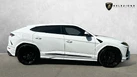 2022-lamborghini-urus-40-no-trim-small-1