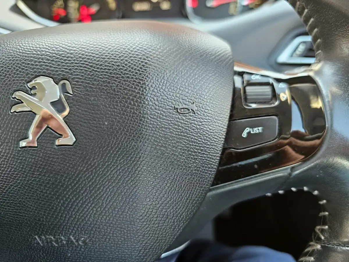 2014-peugeot-308-16hdi-active-big-15