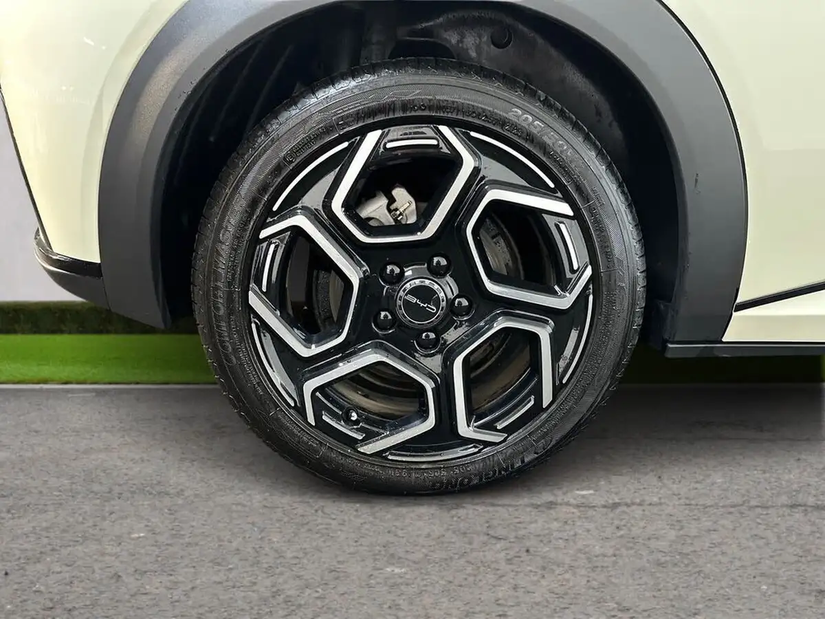 2023-byd-dolphin-e-comfort-big-8