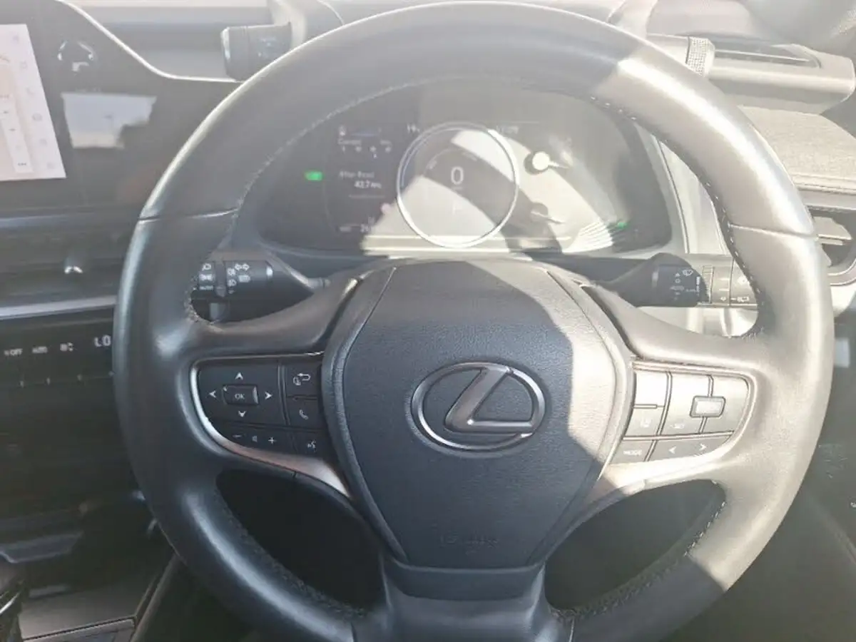 2022-lexus-ux-250h-20-f-sport-premium-plus-pack-big-10