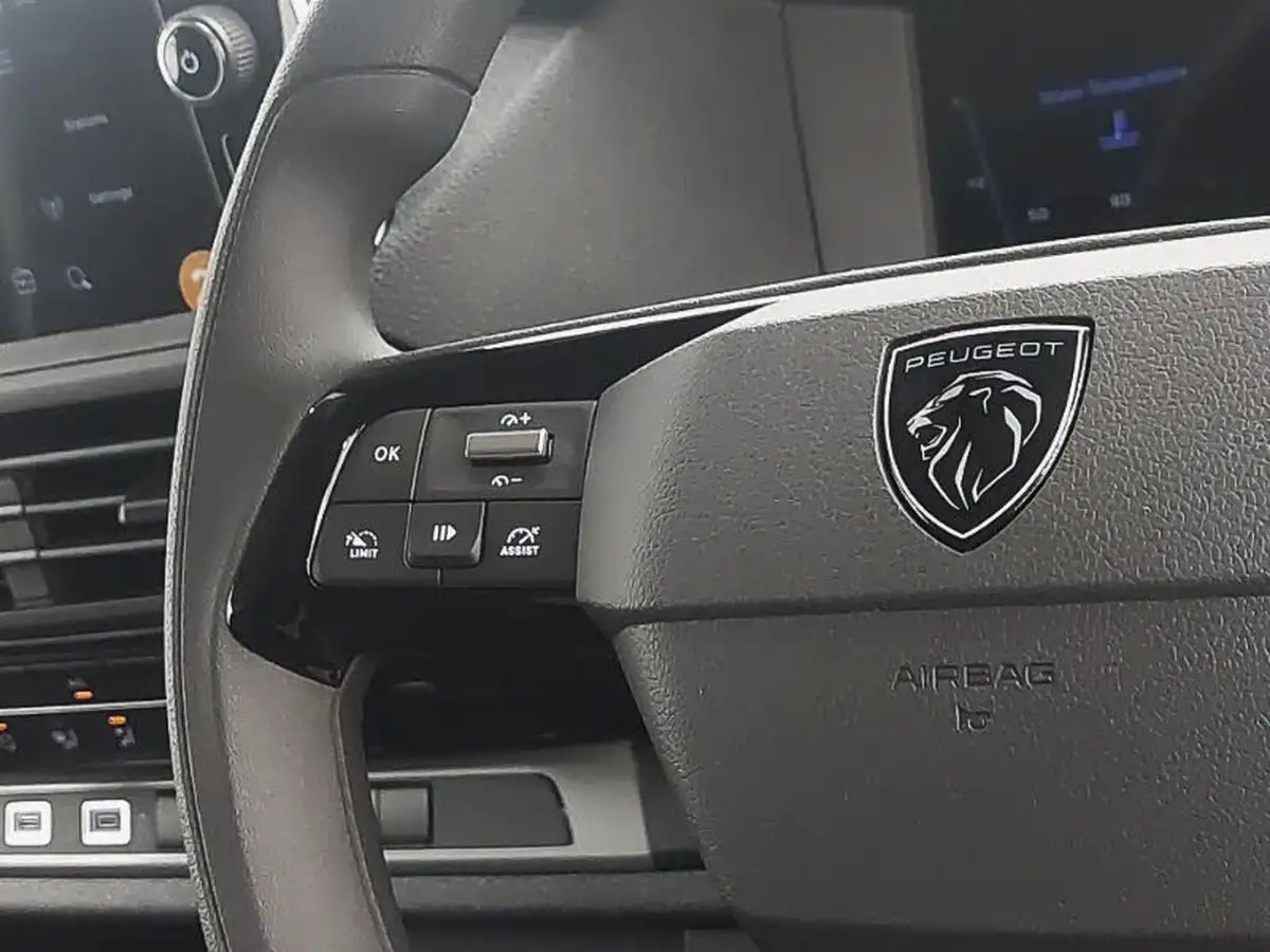 2024-peugeot-expert-15-bluehdi-professional-long-big-4