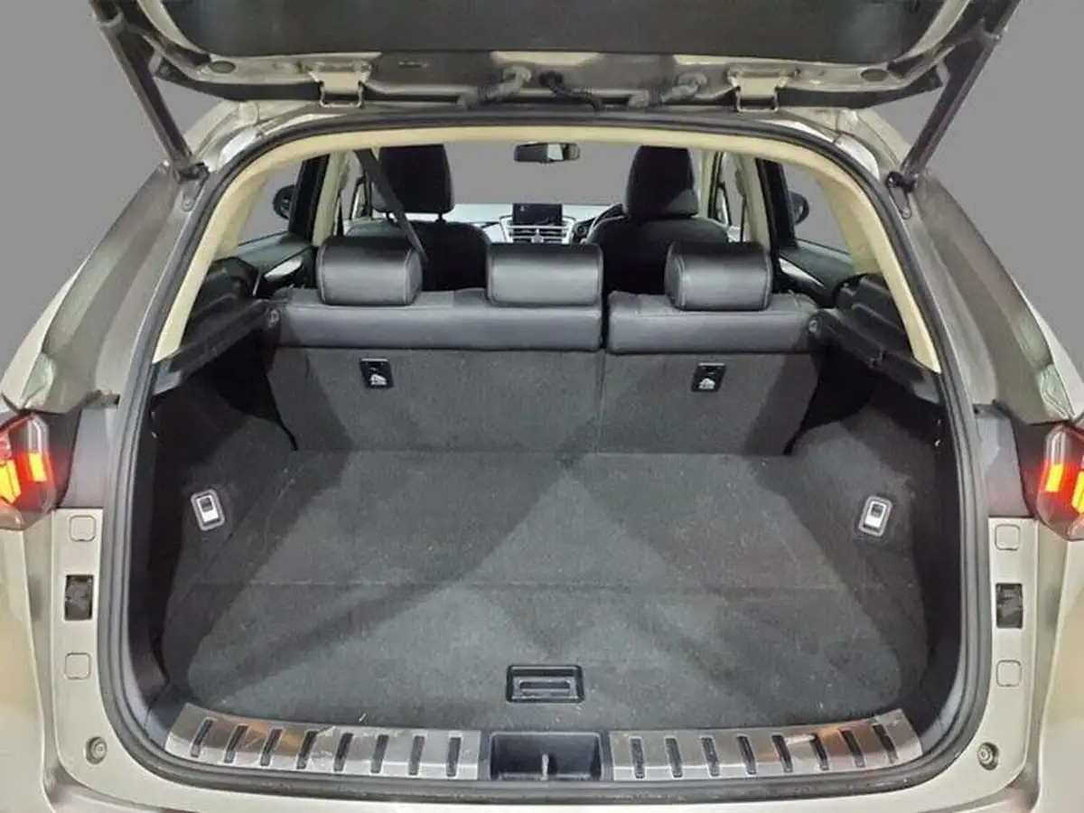 2017-lexus-nx-300h-25-luxury-big-8