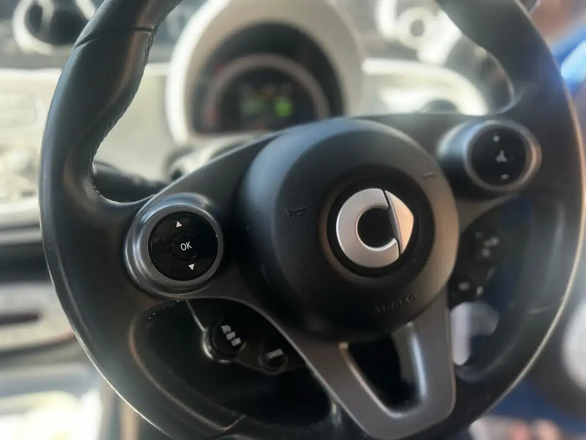 2015-smart-forfour-09-prime-ss-big-9