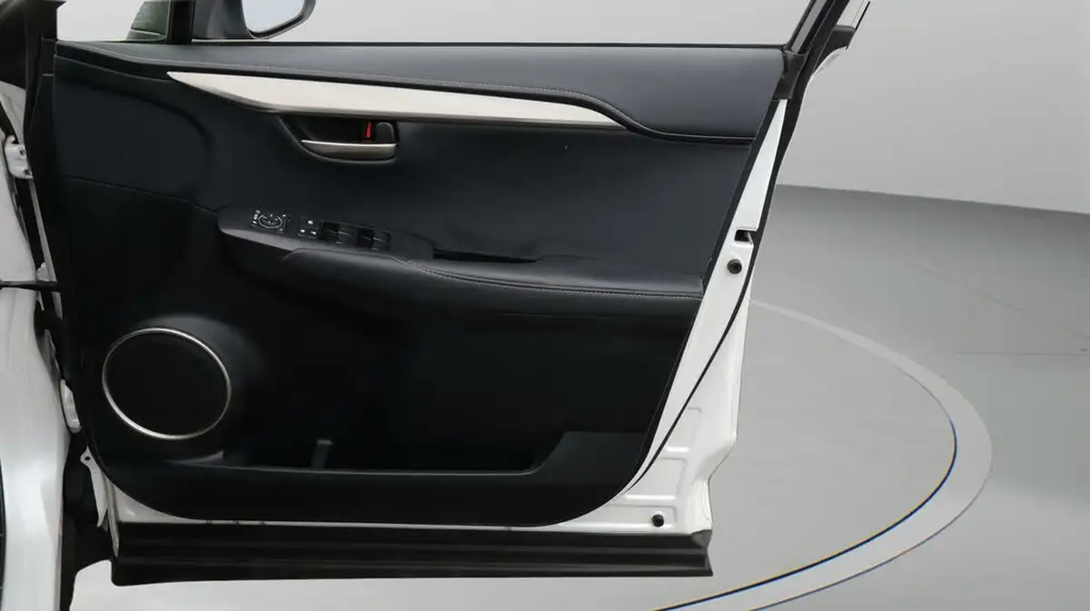 2017-lexus-nx-300h-25-sport-big-15