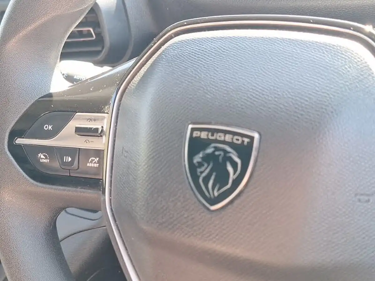 2024-peugeot-partner-15-bluehdi-professional-100pseu6d-big-12