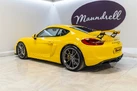 2015-porsche-cayman-38-gt4-small-3