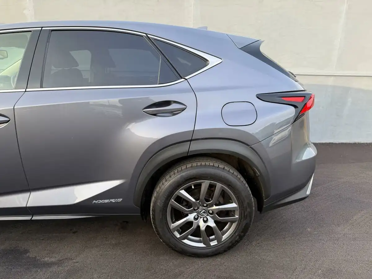 2018-lexus-nx-300h-25-luxury-big-35