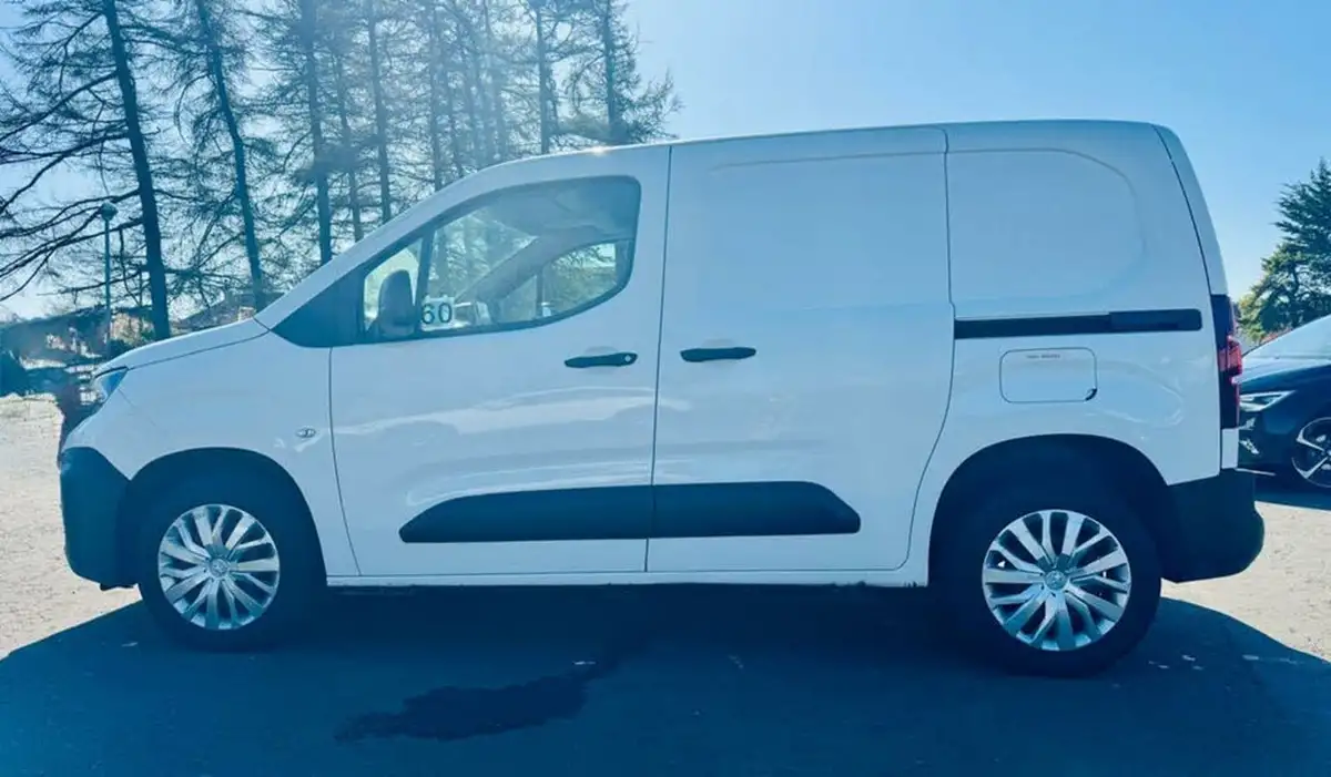 2020-peugeot-partner-15-bluehdi-1000-professional-100ps-eu6dt-panel-big-3